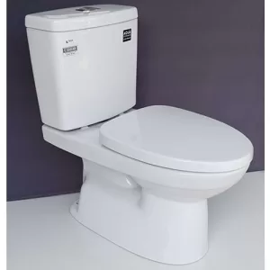 Bồn cầu 2 khối Inax C-504VAN-2