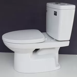 Bồn cầu 2 khối Inax C-504VAN-2
