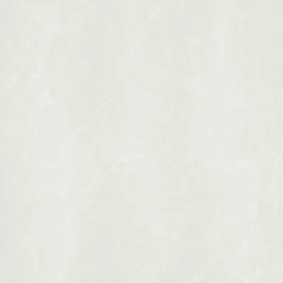 Gạch lát nền Taicera 60x60 P67762N