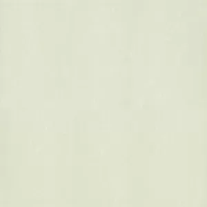 Gạch lát nền Taicera 60x60 P67763N1