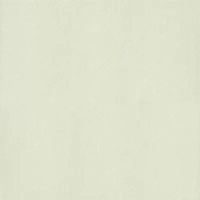 Gạch lát nền Taicera 60x60 P67763N1