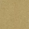 Gạch lát nền Taicera 60x60 P67771N