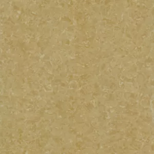 Gạch lát nền Taicera 60x60 P67771N