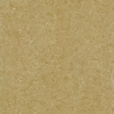Gạch lát nền Taicera 60x60 P67771N