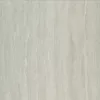 Gạch lát nền Taicera 60x60 P67208N