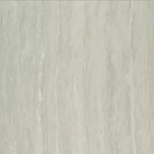 Gạch lát nền Taicera 60x60 P67208N