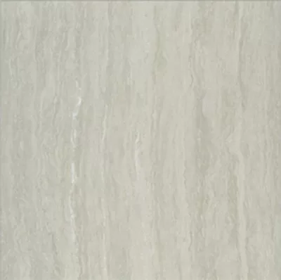 Gạch lát nền Taicera 60x60 P67208N