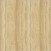Gạch lát nền Taicera 60x60 P67216N