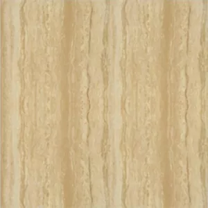Gạch lát nền Taicera 60x60 P67216N