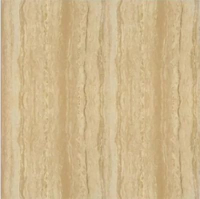 Gạch lát nền Taicera 60x60 P67216N