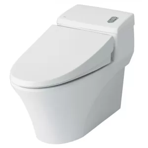 Bồn Cầu INAX AC-1008VRN 1 Khối Aqua Ceramic Xả Nhấn
