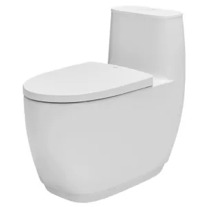 Bồn Cầu INAX AC-1052VN 1 Khối Nắp Êm Aqua Ceramic