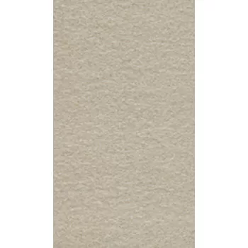 Gạch ốp lát Taicera 30x60 G63522