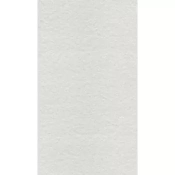 Gạch ốp lát Taicera 30x60 G63525