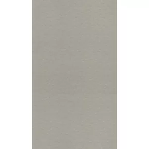 Gạch ốp lát Taicera 30x60 G63548