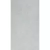 Gạch ốp lát Taicera 30x60 G63991S