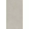 Gạch ốp lát Taicera 30x60 G63992S
