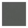Gạch Taicera 30x30 G38029