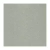 Gạch Taicera 30x30 G38068