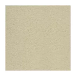 Gạch Taicera 30x30 G38822