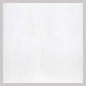 Gạch Taicera 40x40 G48925ND