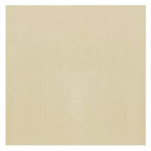 Gạch Taicera 40x40 G48936