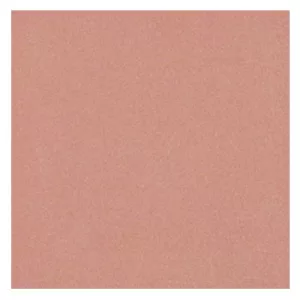 Gạch Taicera 40x40 G49033