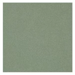 Gạch Taicera 40x40 G49042