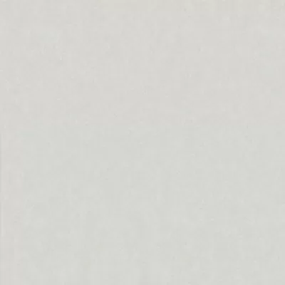 Gạch lát nền Taicera 60x60 G68025