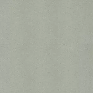 Gạch lát nền Taicera 60x60 G68048