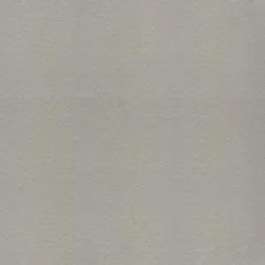 Gạch lát nền Taicera 60x60 G68548