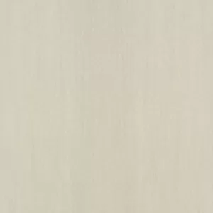 Gạch lát nền Taicera 60x60 G68902