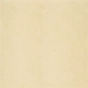 Gạch lát nền Taicera 60x60 G68912