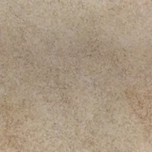 Gạch lát nền Taicera 60x60 G68962S