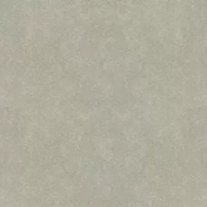 Gạch lát nền Taicera 60x60 G68992S