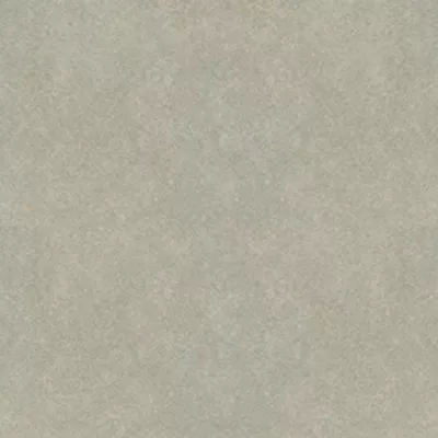 Gạch lát nền Taicera 60x60 G68992S