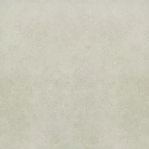 Gạch lát nền Taicera 60x60 G68993S