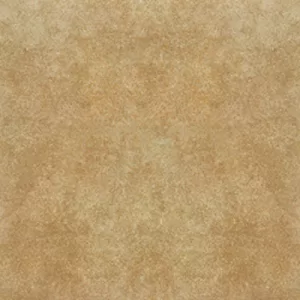 Gạch lát nền Taicera 60x60 G68996S