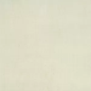 Gạch lát nền Taicera 60x60 H68313