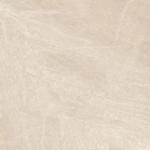 Gạch lát nền Taicera 60x60 P6060BRBE