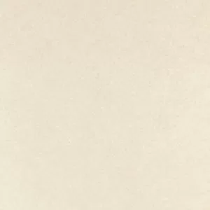 Gạch lát nền Taicera 60x60 P6060URBE