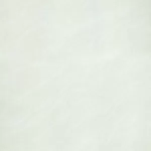 Gạch lát nền Taicera 60x60 P67025N