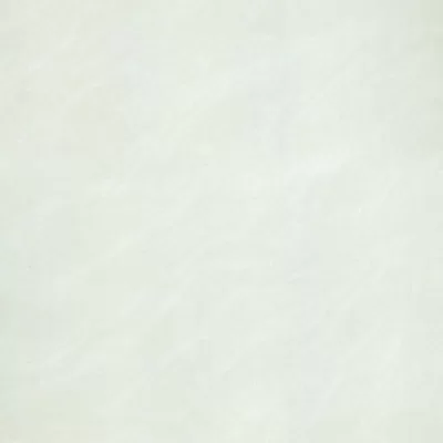 Gạch lát nền Taicera 60x60 P67025N