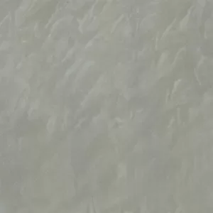 Gạch lát nền Taicera 60x60 P67048N