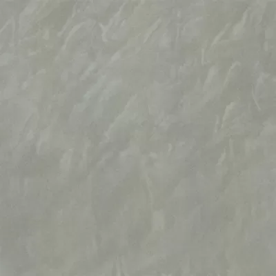 Gạch lát nền Taicera 60x60 P67048N