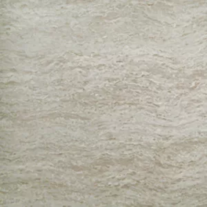 Gạch lát nền Taicera 60x60 P67228N