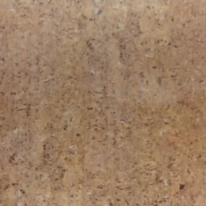 Gạch lát nền Taicera 60x60 P67311N