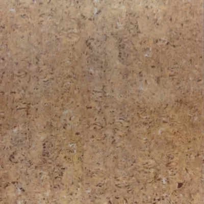 Gạch lát nền Taicera 60x60 P67311N