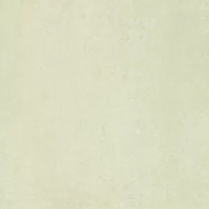 Gạch lát nền Taicera 60x60 P67313N