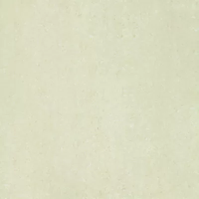 Gạch lát nền Taicera 60x60 P67313N
